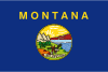 Montana Σημαία