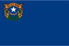 Nevada Σημαία